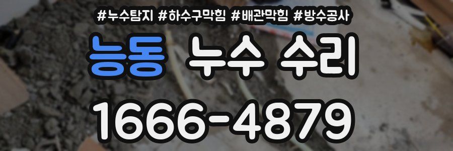 능동 누수 수리
