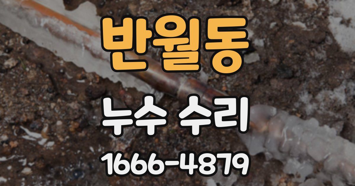 반월동 누수 수리