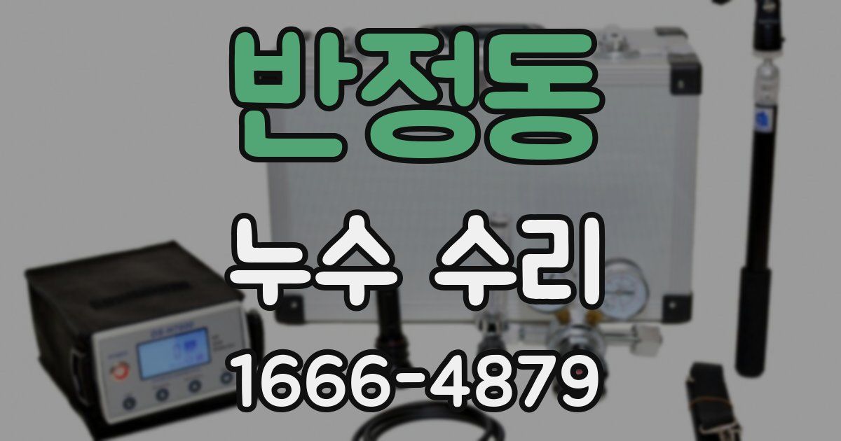 반정동 누수 수리