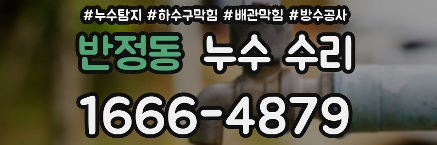 반정동 누수 수리