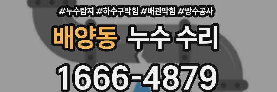 배양동 누수 수리