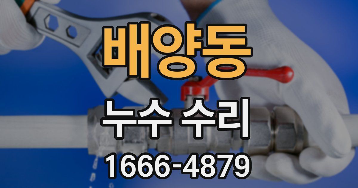 배양동 누수 수리