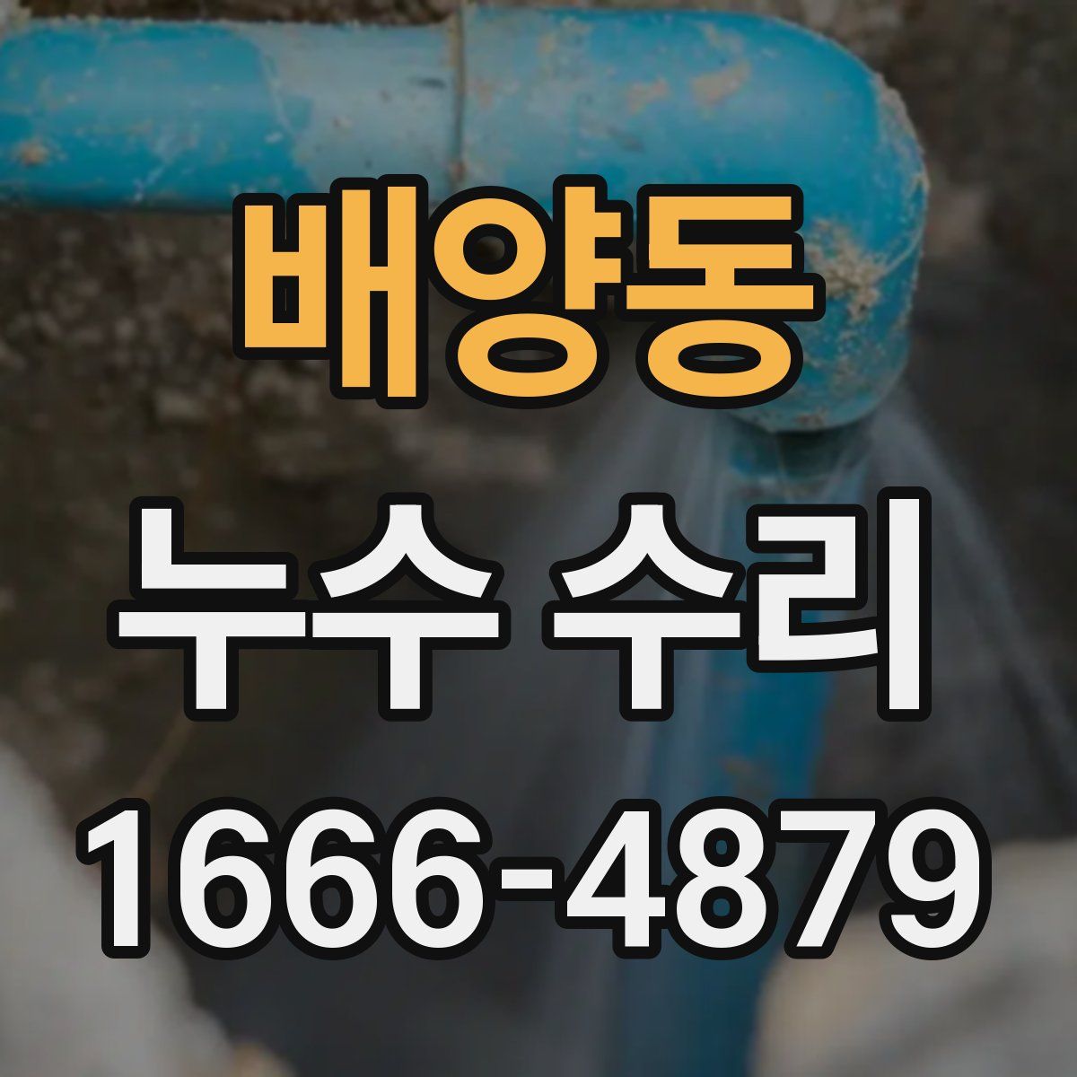 배양동 누수 수리