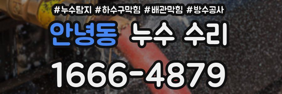 안녕동 누수 수리