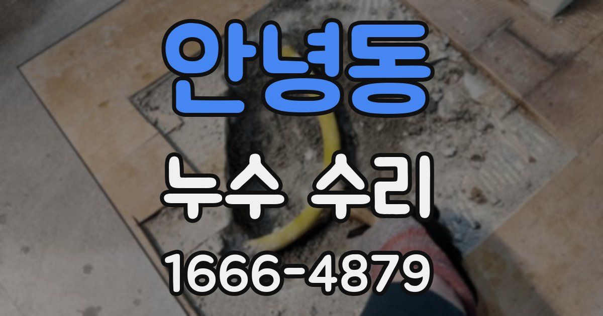 안녕동 누수 수리