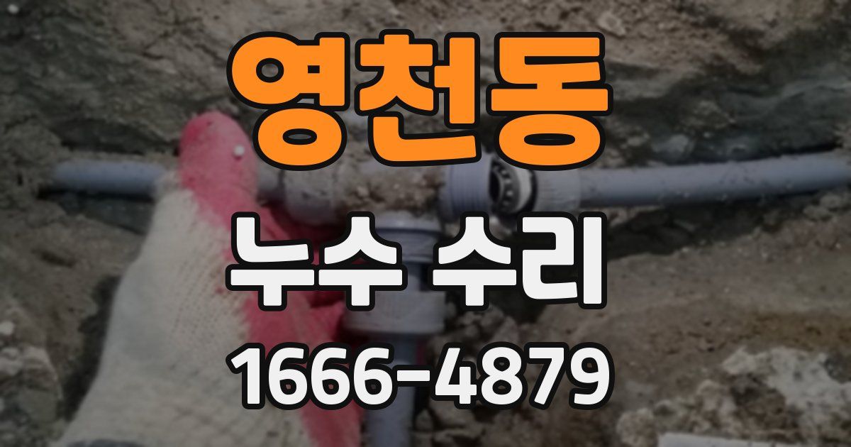영천동 누수 수리