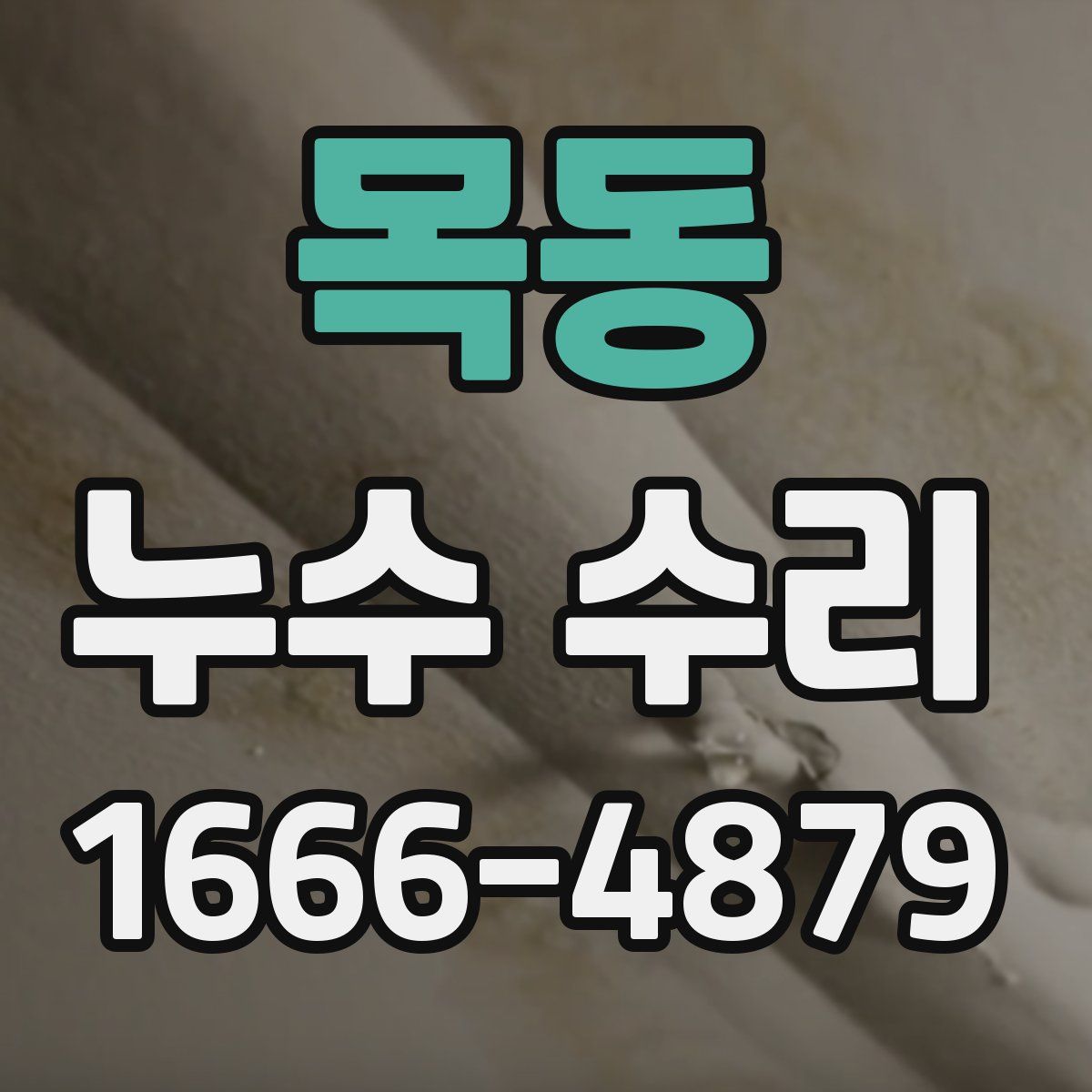 목동 누수 수리
