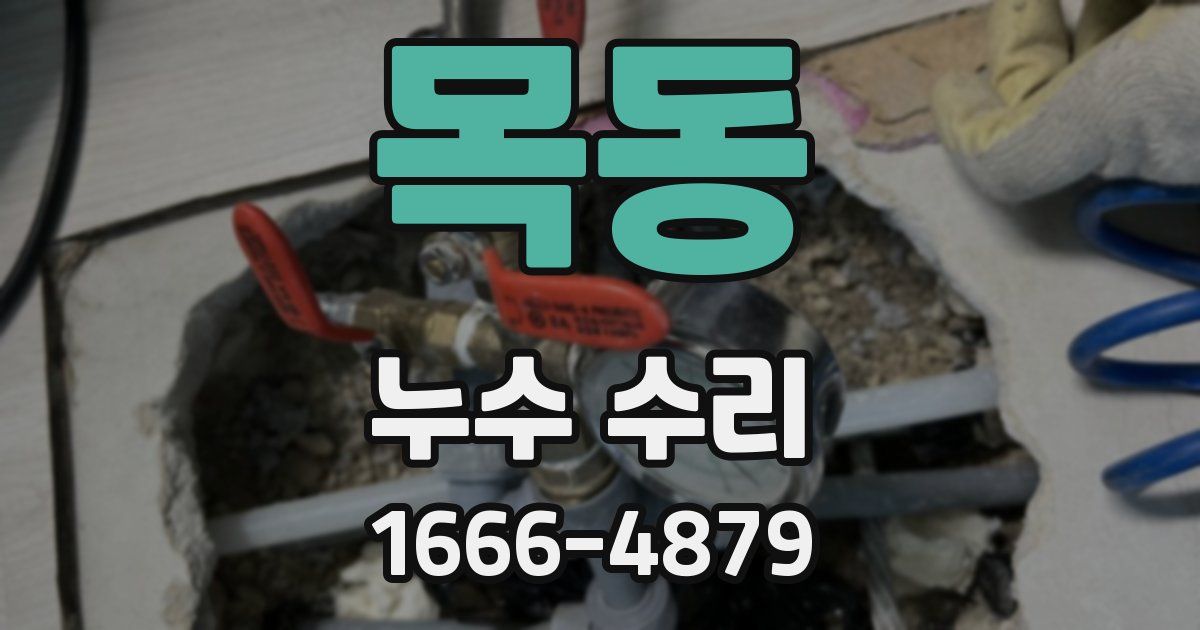 목동 누수 수리