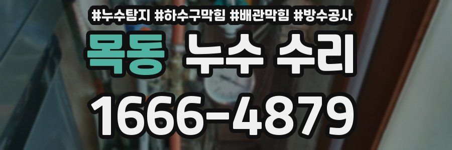 목동 누수 수리