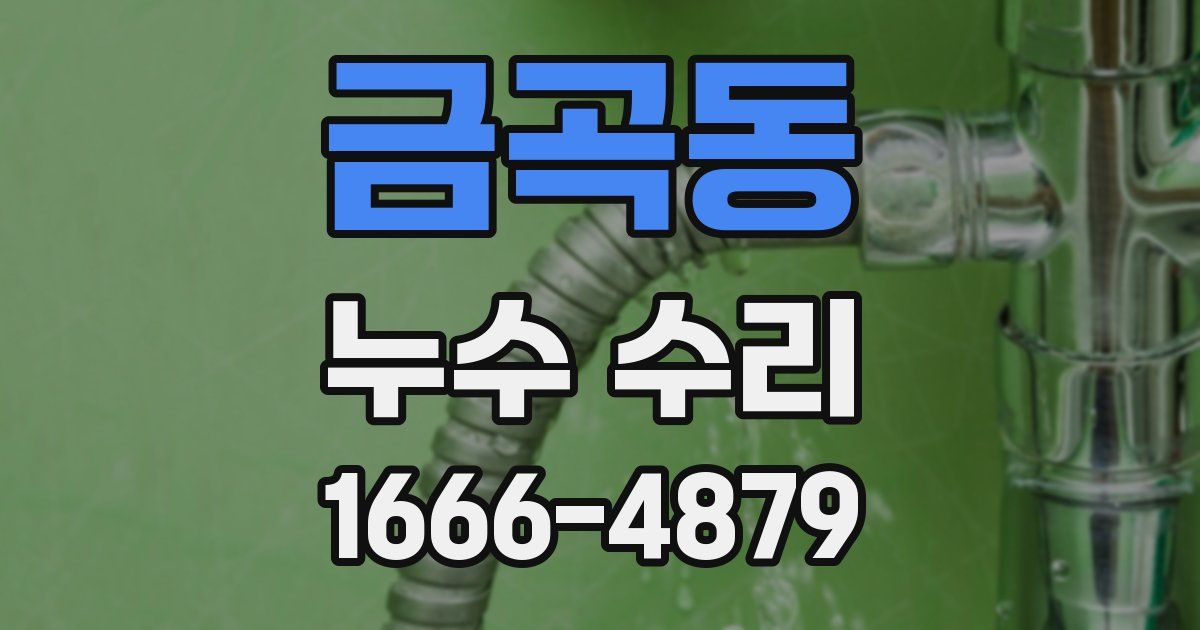 금곡동 누수 수리