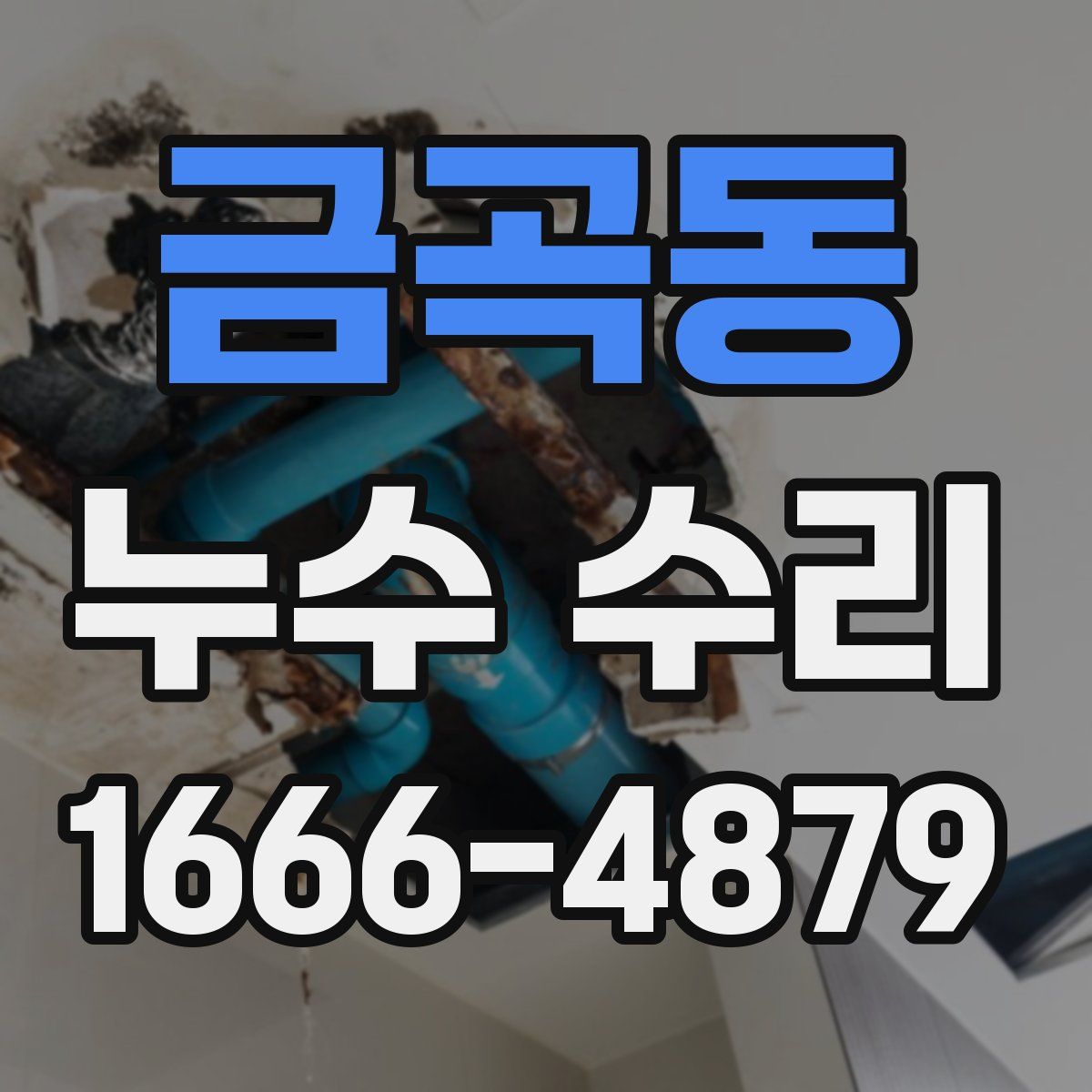 금곡동 누수 수리