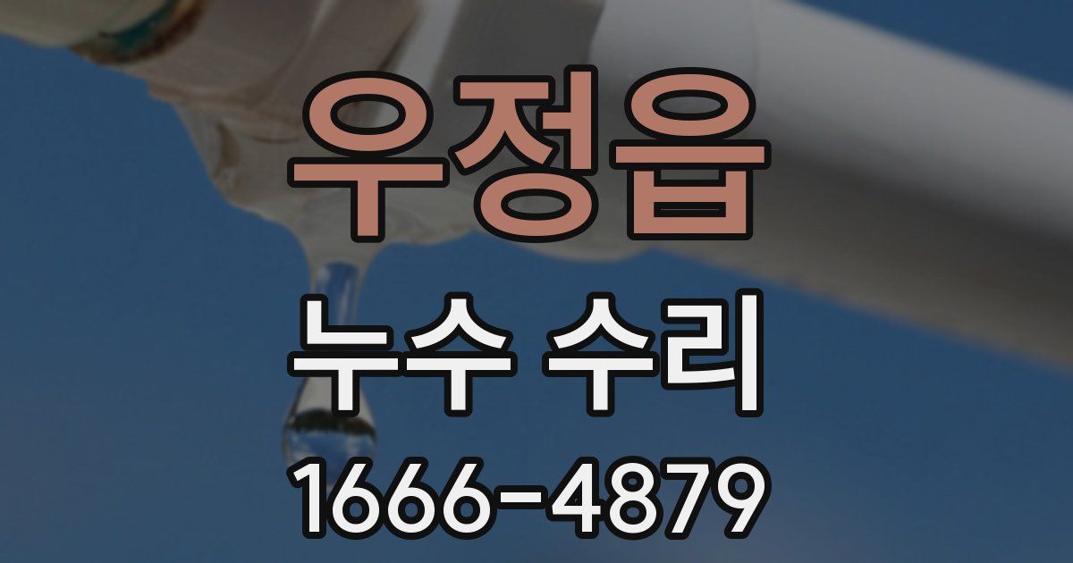 우정읍 누수 수리