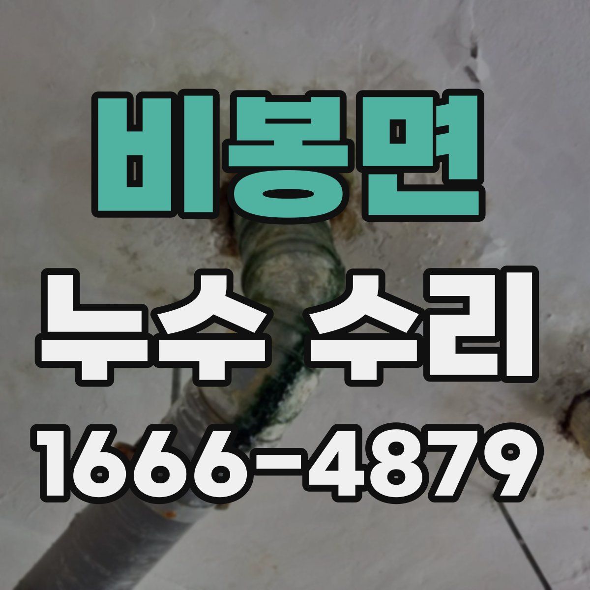비봉면 누수 수리