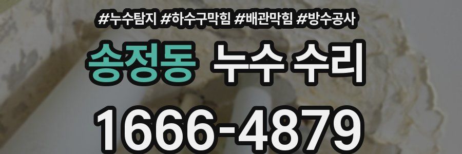 송정동 누수 수리