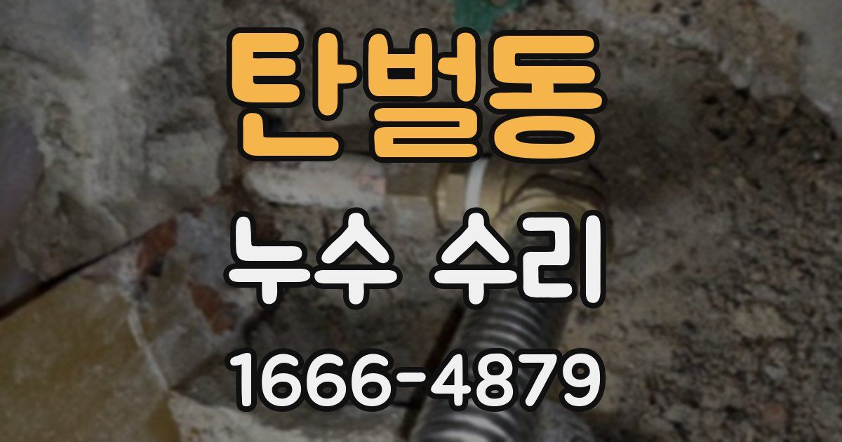 탄벌동 누수 수리