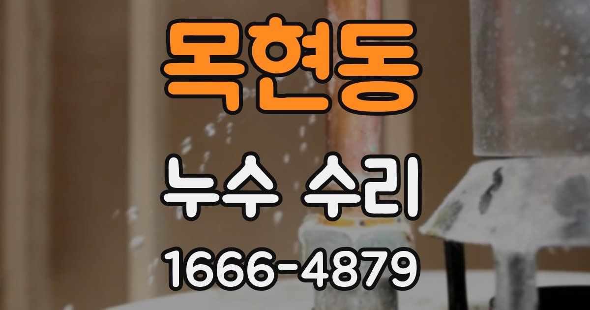 목현동 누수 수리