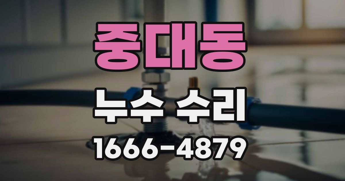 중대동 누수 수리