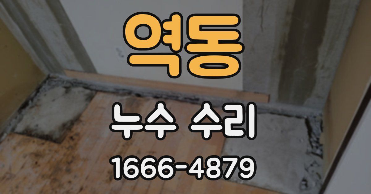 역동 누수 수리