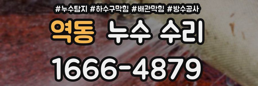 역동 누수 수리