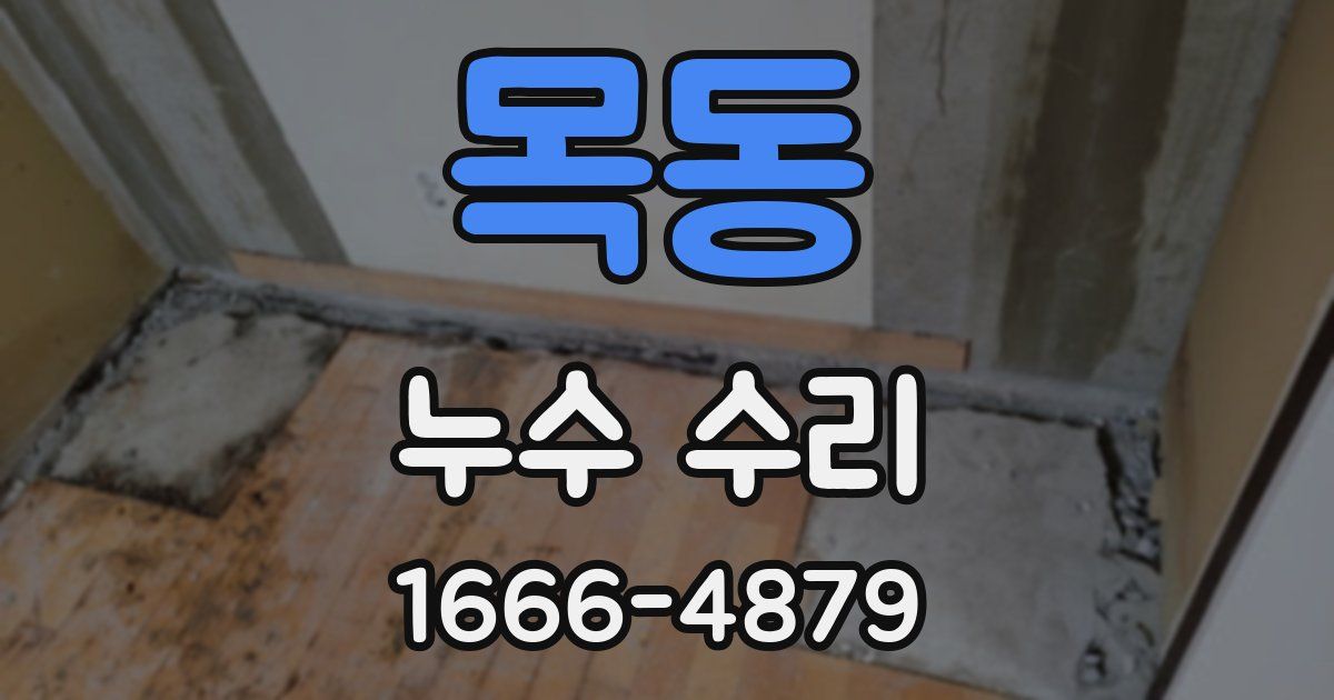 목동 누수 수리