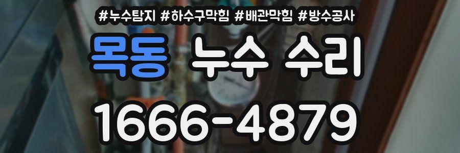 목동 누수 수리