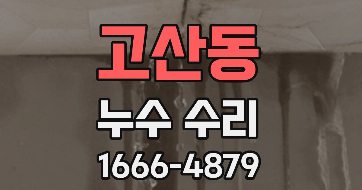 고산동 누수 수리