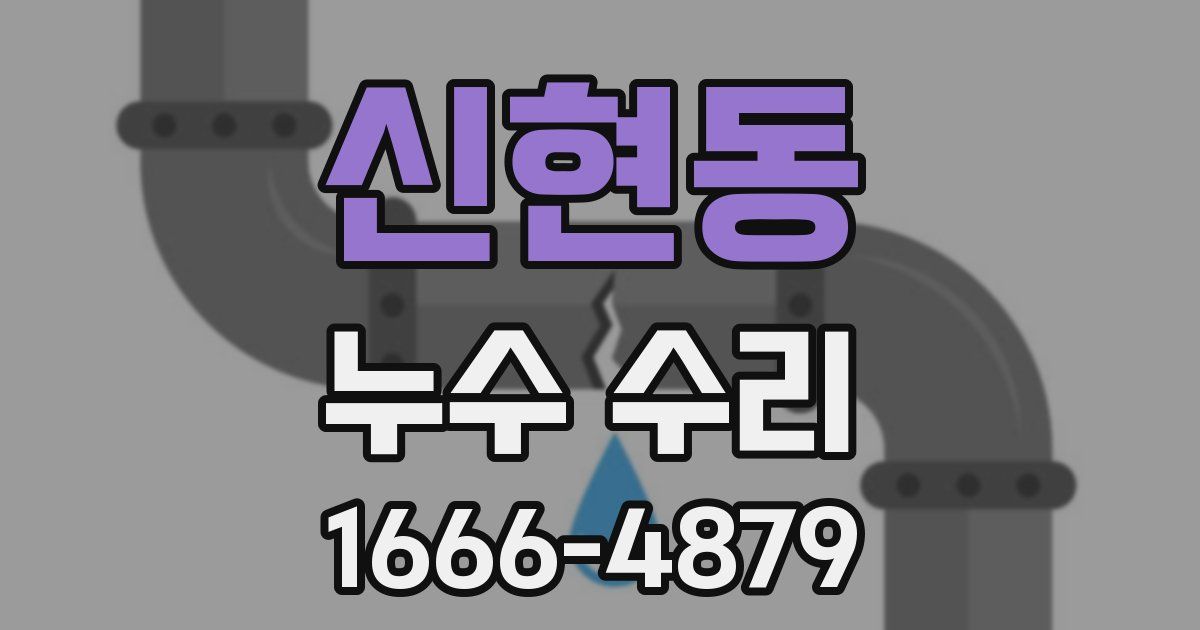신현동 누수 수리