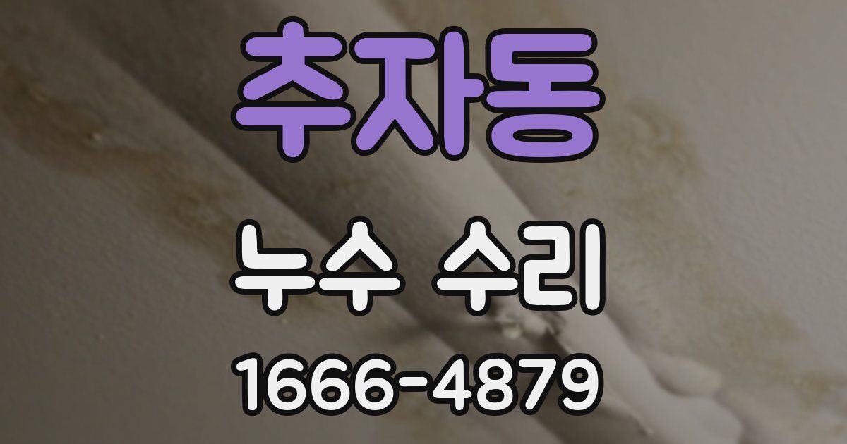 추자동 누수 수리