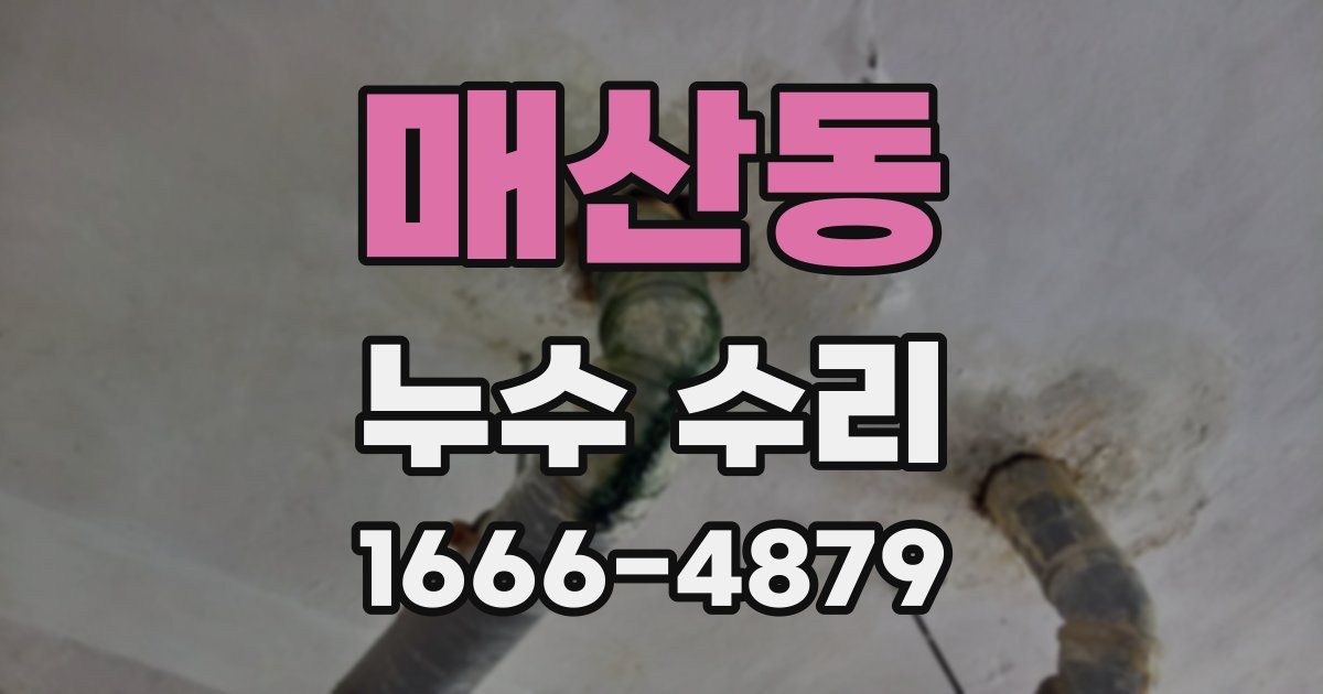 매산동 누수 수리