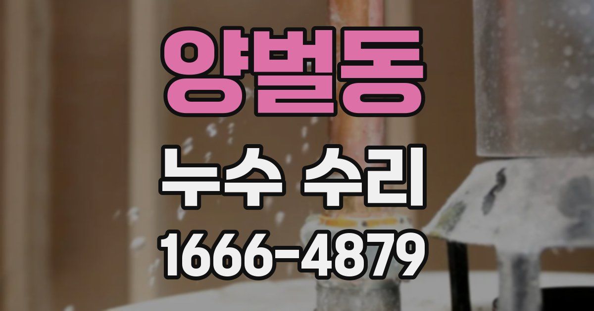 양벌동 누수 수리