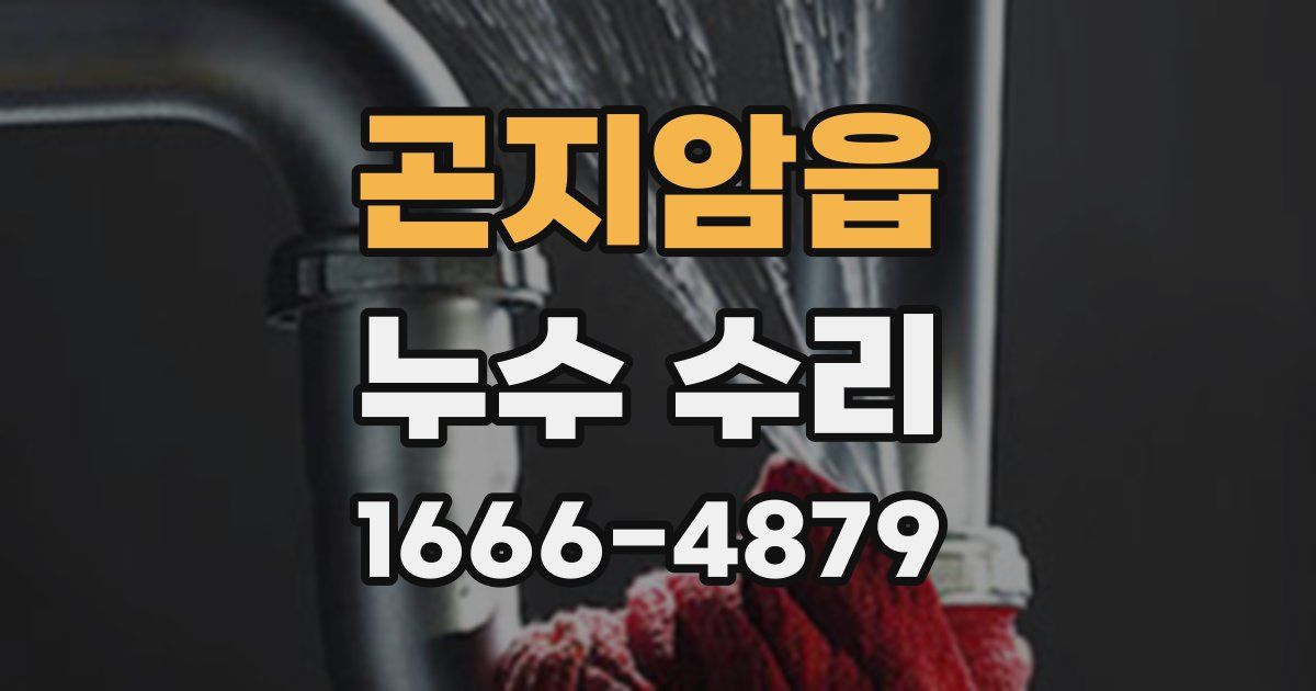 곤지암읍 누수 수리