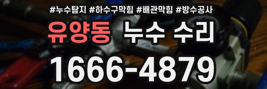 유양동 누수 수리