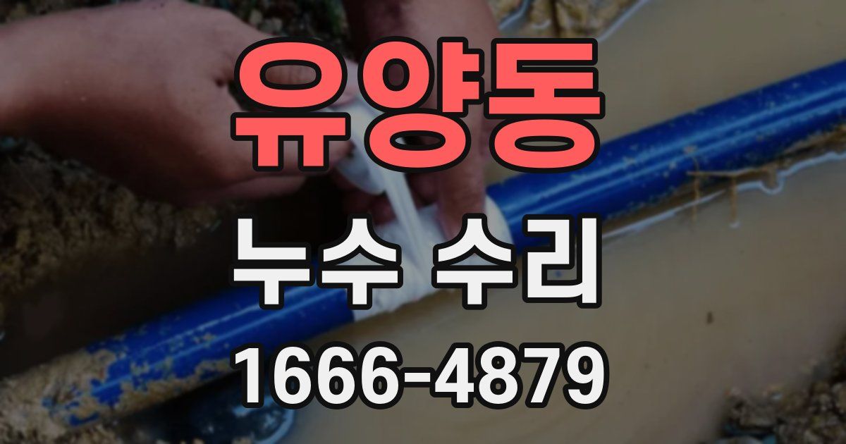 유양동 누수 수리