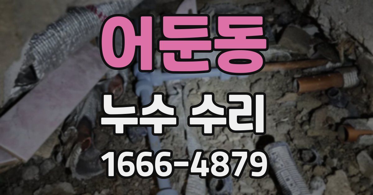 어둔동 누수 수리