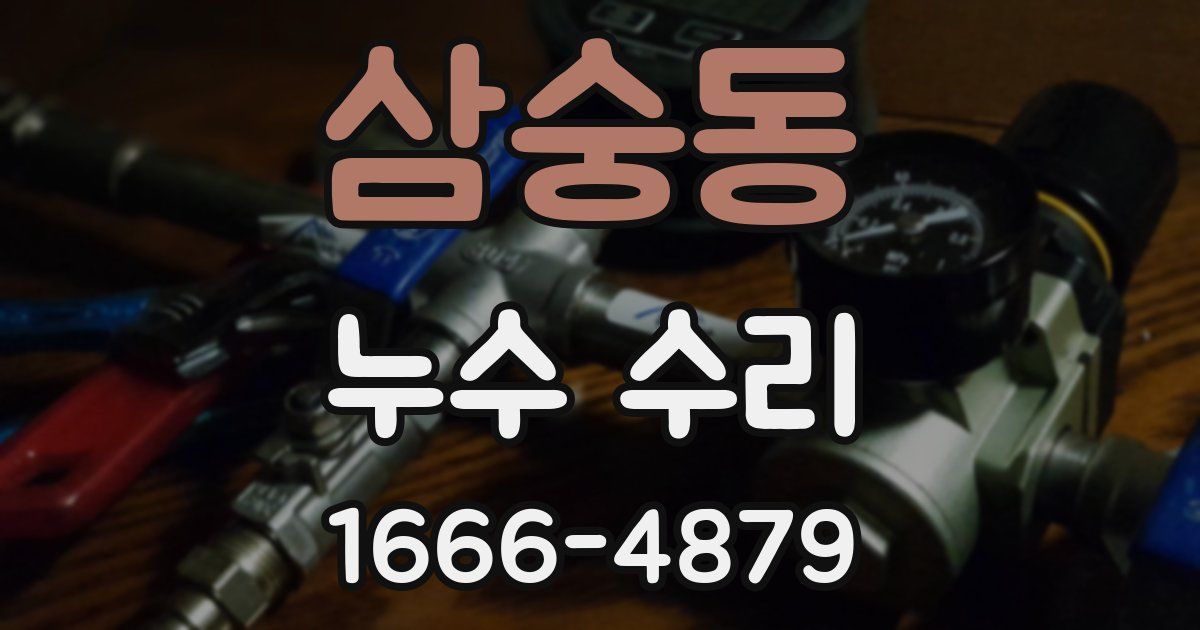 삼숭동 누수 수리