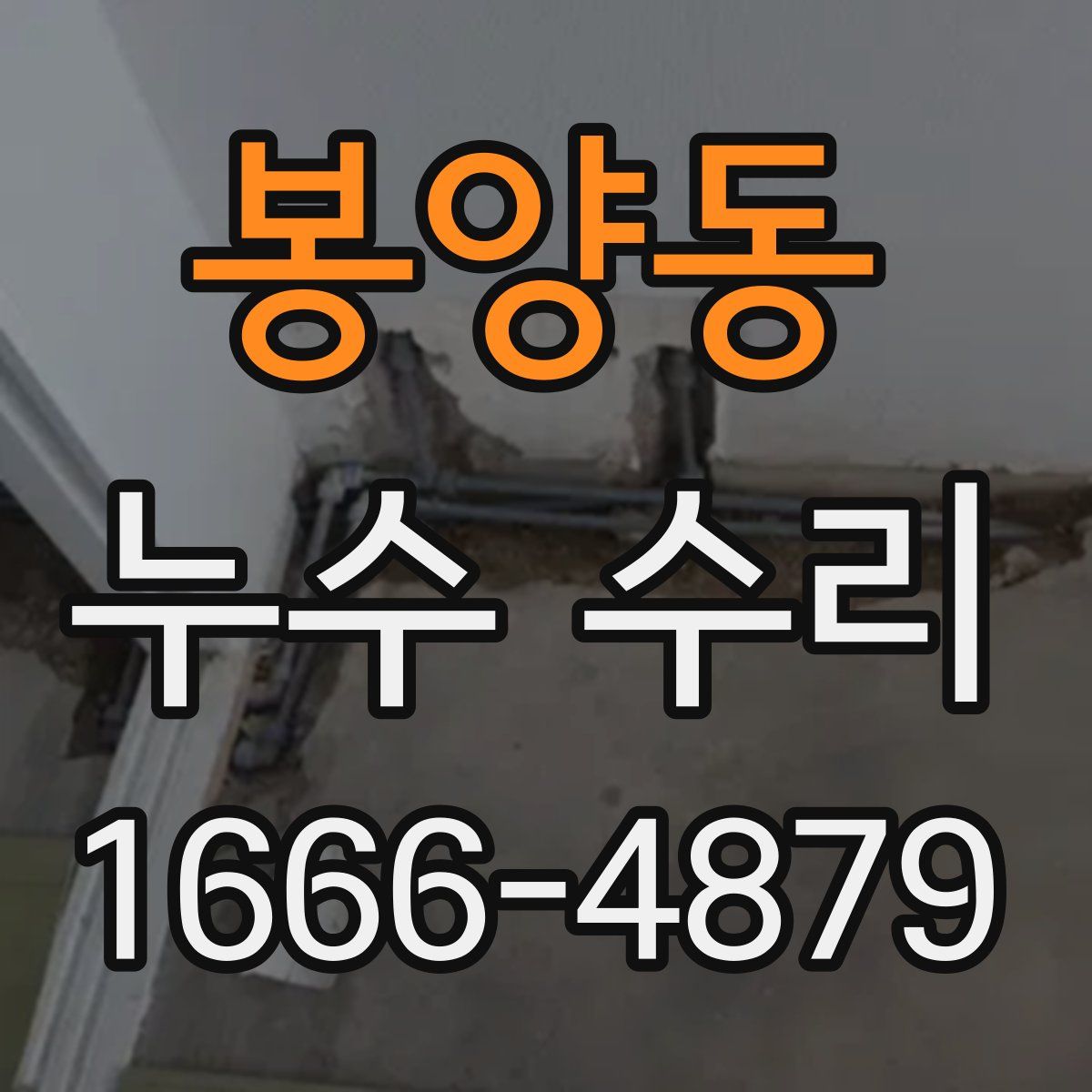 봉양동 누수 수리
