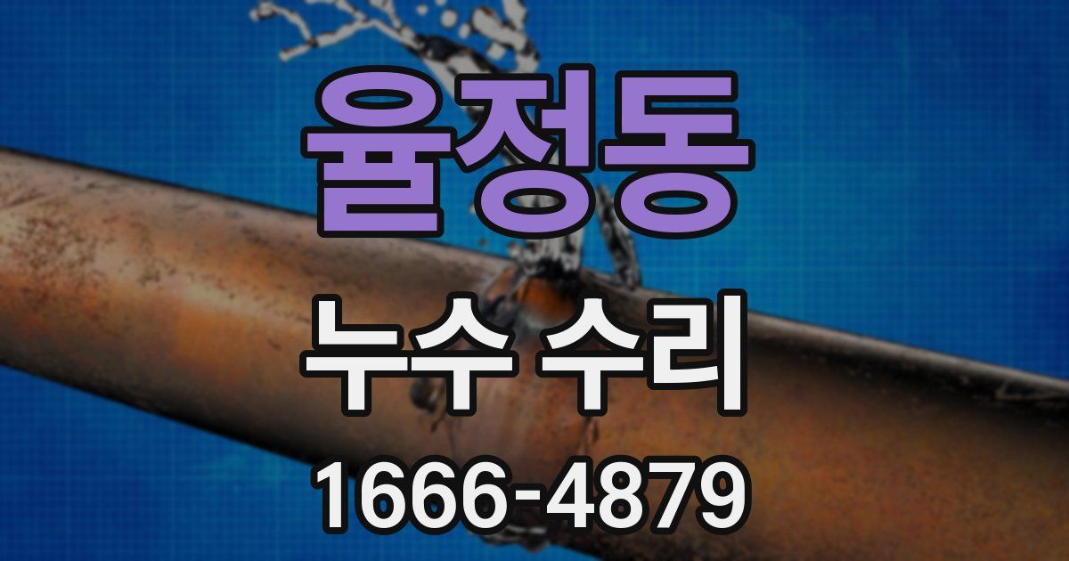 율정동 누수 수리