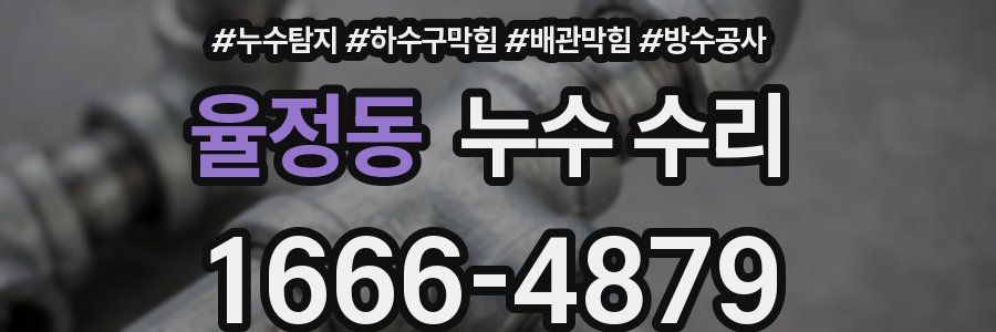 율정동 누수 수리