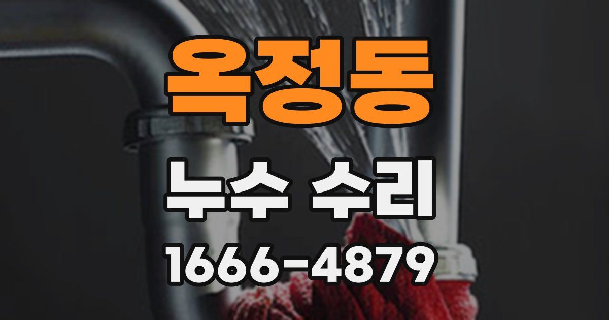 옥정동 누수 수리