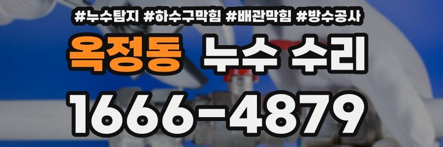 옥정동 누수 수리