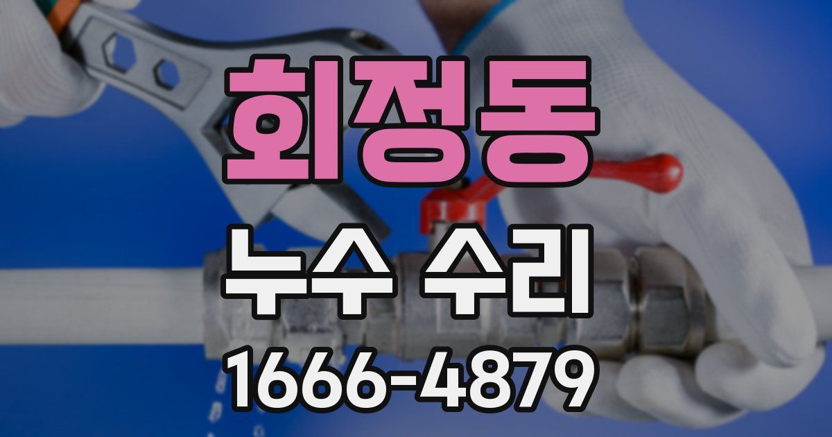 회정동 누수 수리