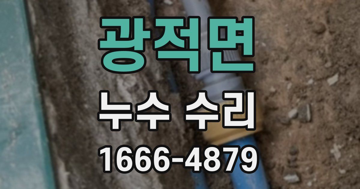 광적면 누수 수리