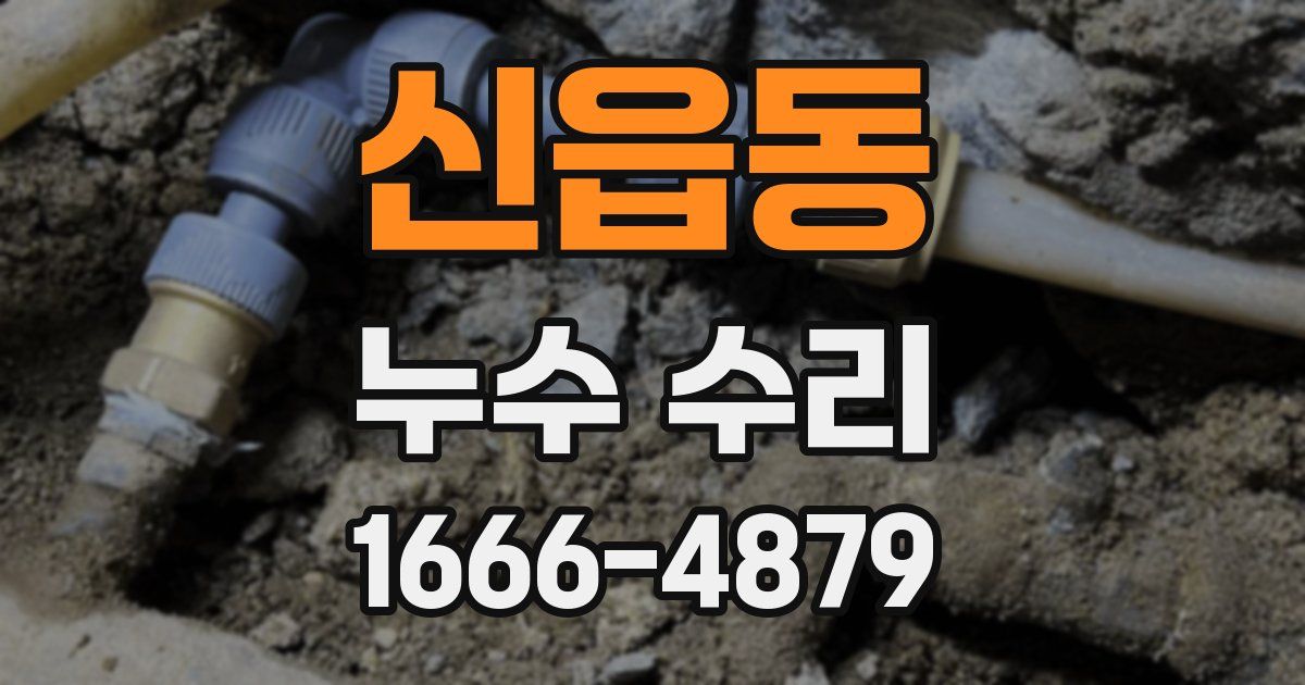 신읍동 누수 수리