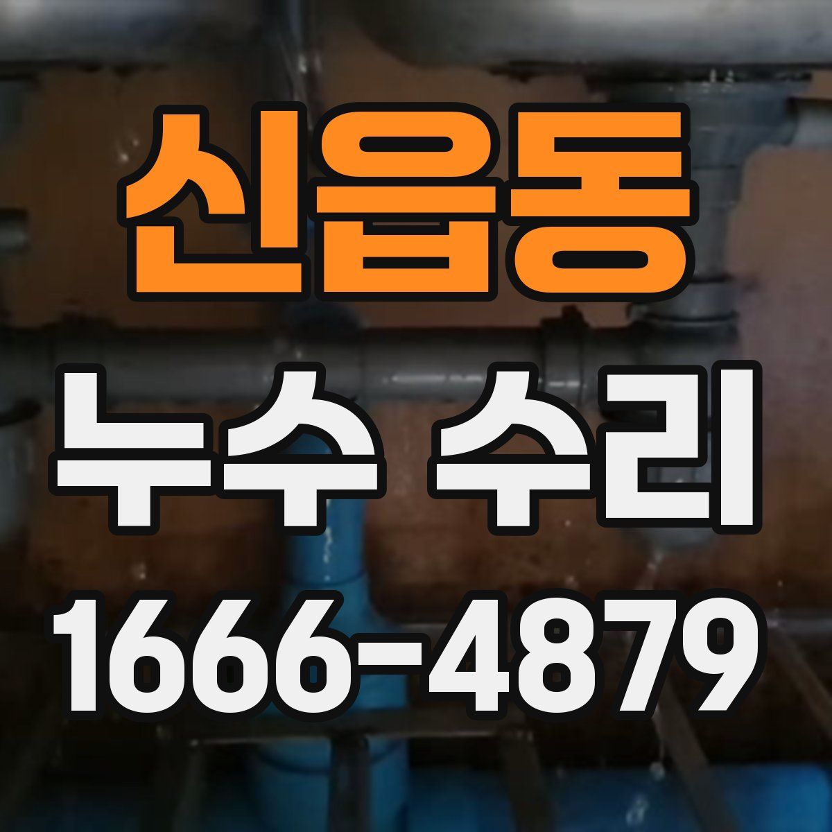 신읍동 누수 수리