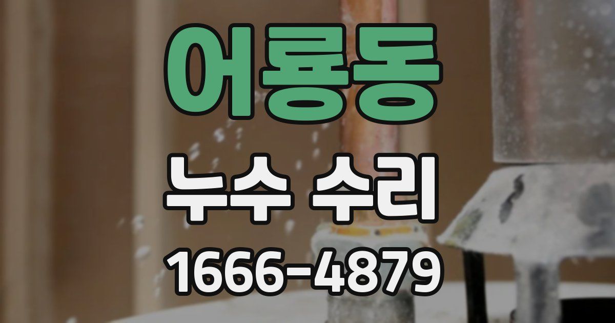 어룡동 누수 수리