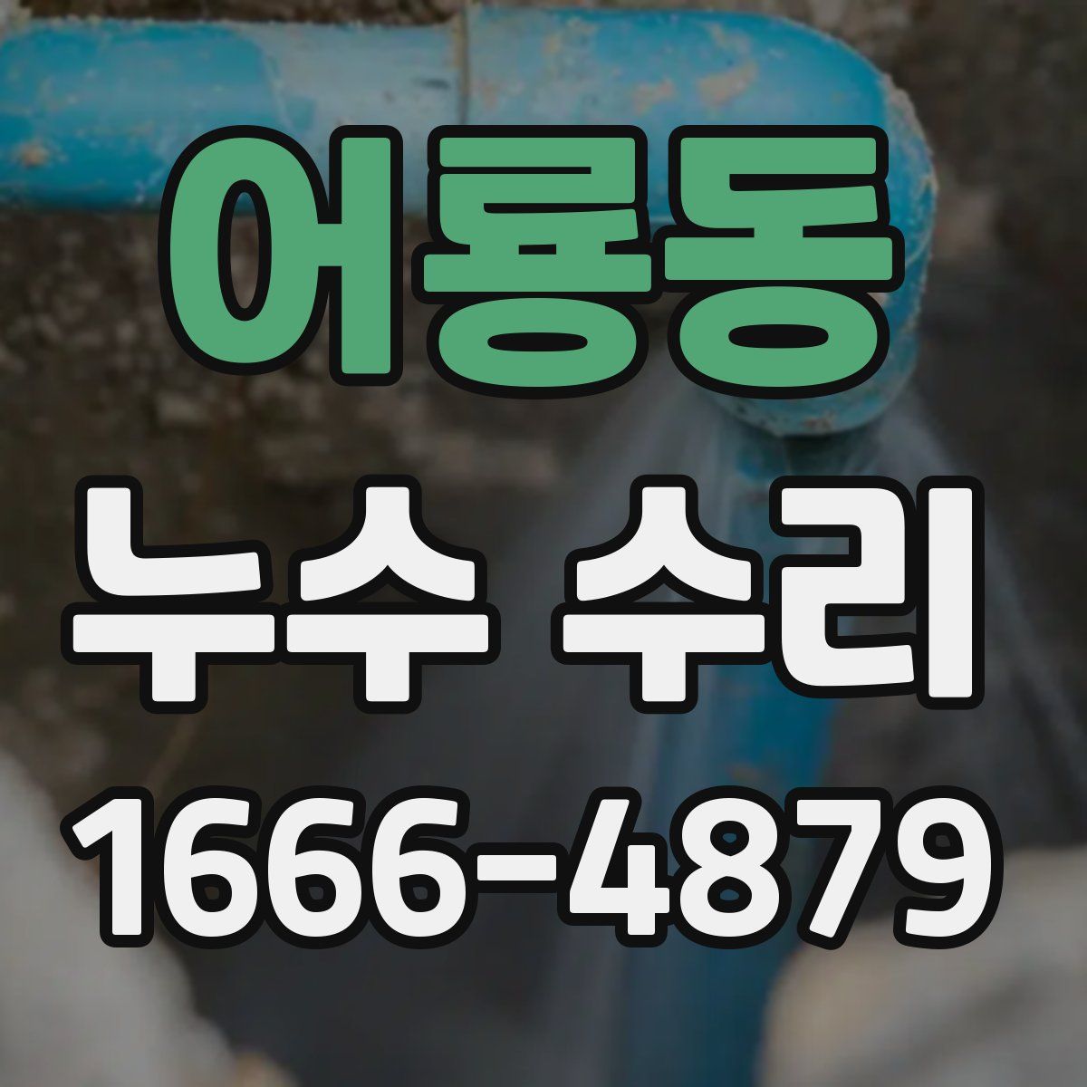 어룡동 누수 수리