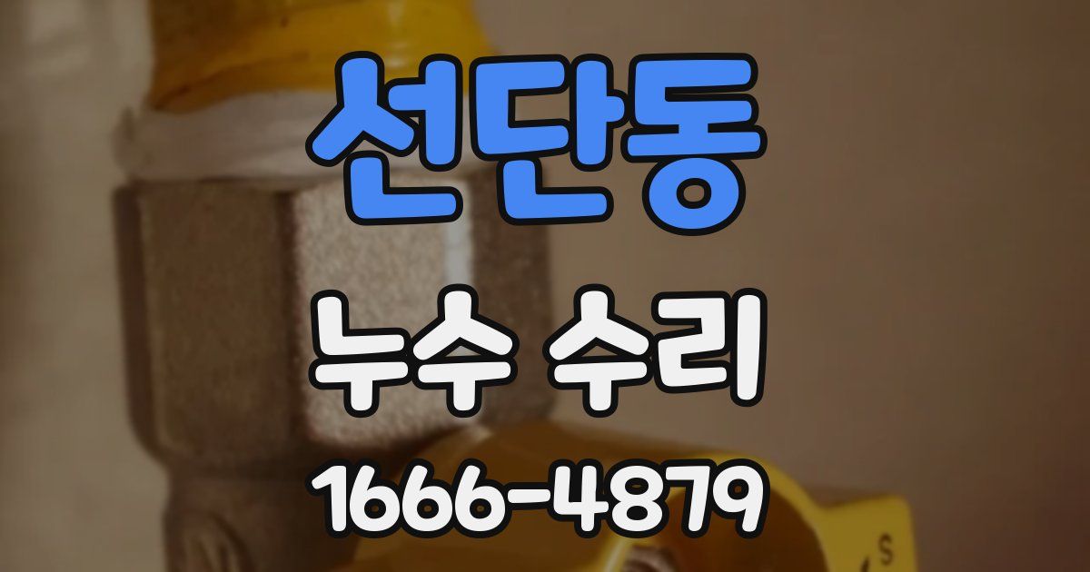 선단동 누수 수리