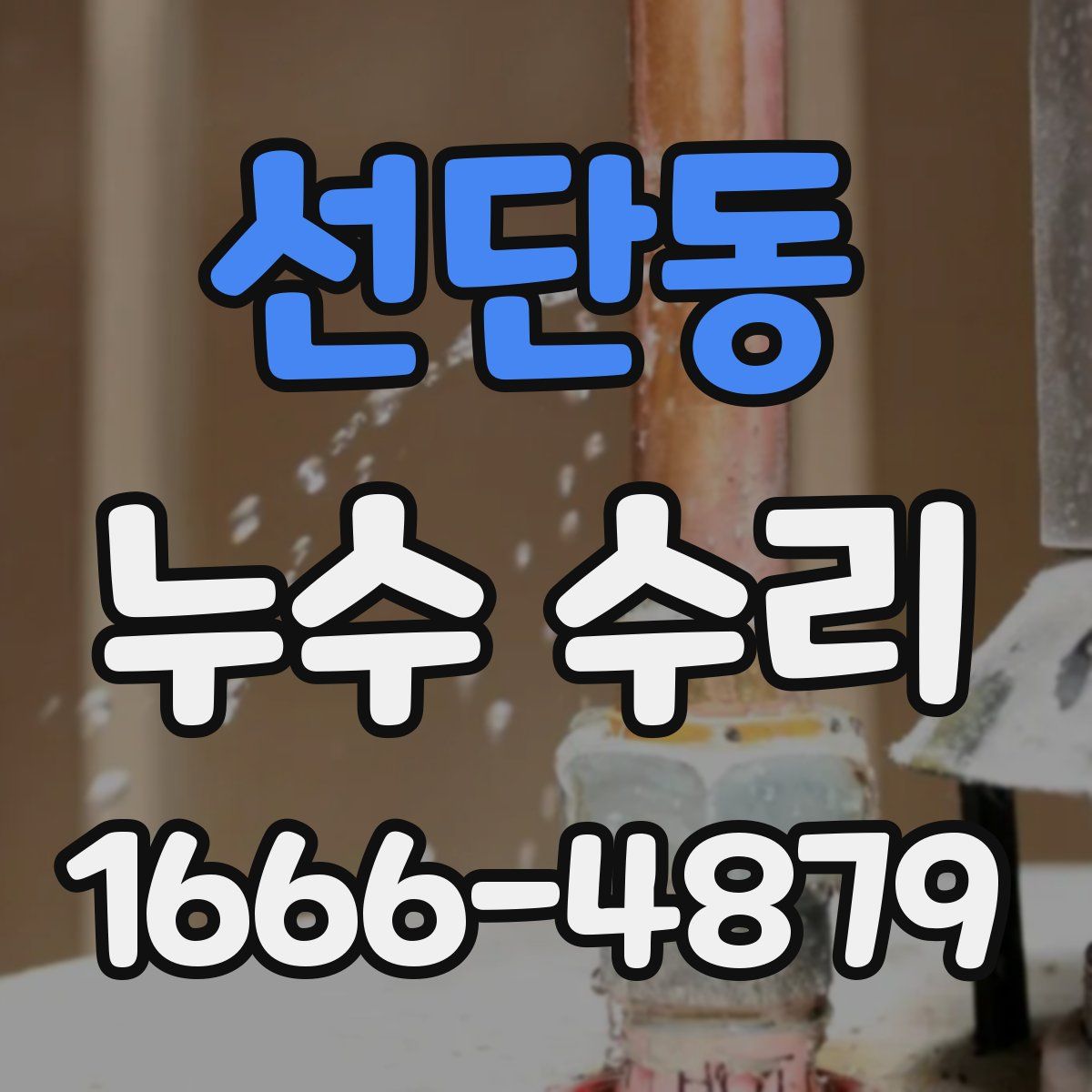 선단동 누수 수리