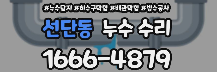 선단동 누수 수리