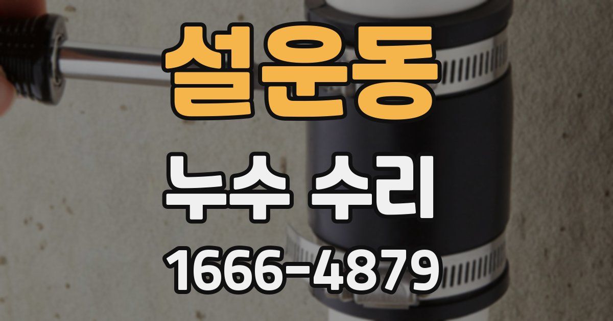 설운동 누수 수리